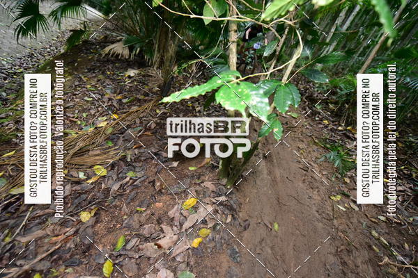 Buy your photos of the eventDesafio 6 horas MTB parque MALWEE on Fotop