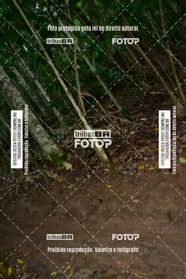 Buy your photos of the eventDesafio 6 horas MTB parque MALWEE on Fotop