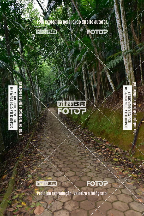 Buy your photos of the eventDesafio 6 horas MTB parque MALWEE on Fotop