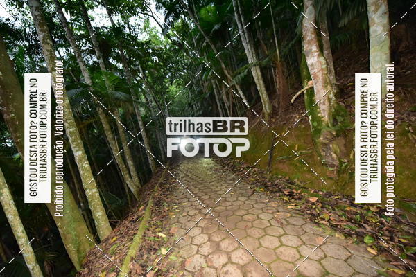 Buy your photos of the eventDesafio 6 horas MTB parque MALWEE on Fotop