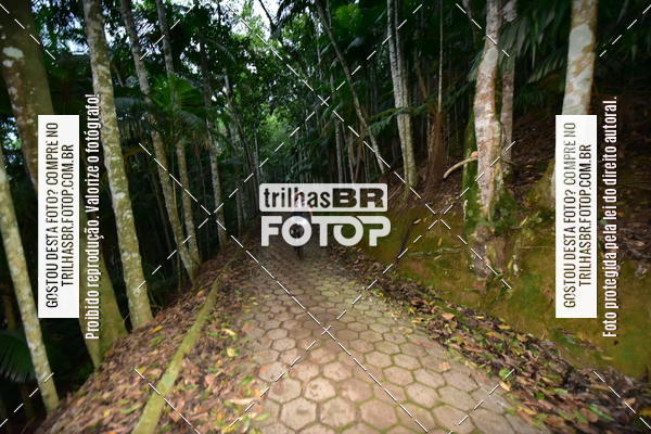Buy your photos of the eventDesafio 6 horas MTB parque MALWEE on Fotop