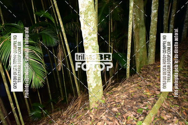 Buy your photos of the eventDesafio 6 horas MTB parque MALWEE on Fotop