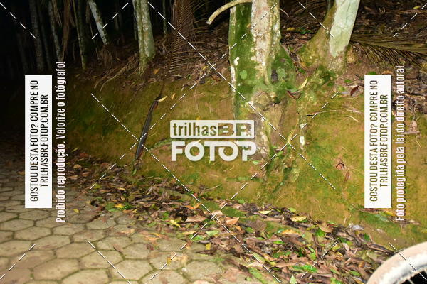 Buy your photos of the eventDesafio 6 horas MTB parque MALWEE on Fotop