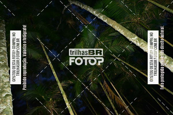 Buy your photos of the eventDesafio 6 horas MTB parque MALWEE on Fotop
