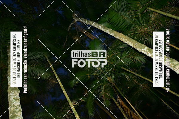 Buy your photos of the eventDesafio 6 horas MTB parque MALWEE on Fotop