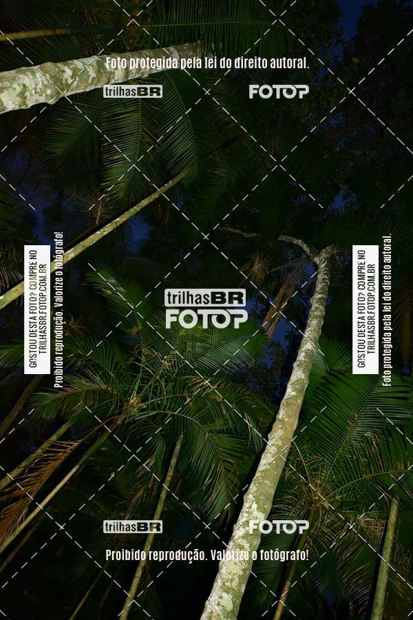Buy your photos of the eventDesafio 6 horas MTB parque MALWEE on Fotop