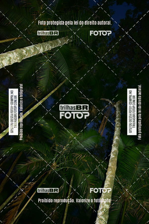 Buy your photos of the eventDesafio 6 horas MTB parque MALWEE on Fotop