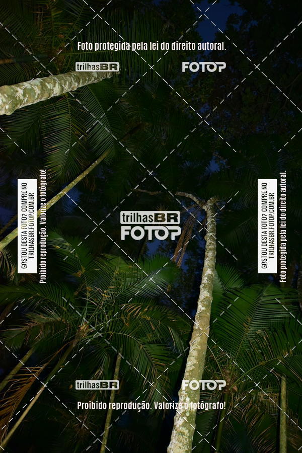 Buy your photos of the eventDesafio 6 horas MTB parque MALWEE on Fotop