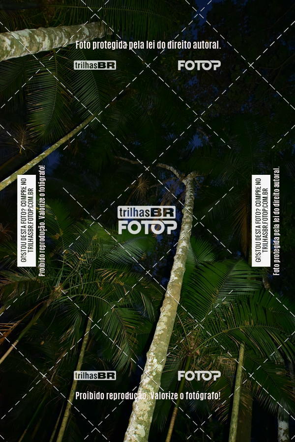 Buy your photos of the eventDesafio 6 horas MTB parque MALWEE on Fotop