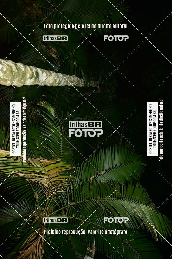 Buy your photos of the eventDesafio 6 horas MTB parque MALWEE on Fotop