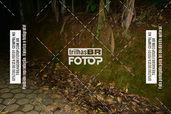 Buy your photos of the eventDesafio 6 horas MTB parque MALWEE on Fotop