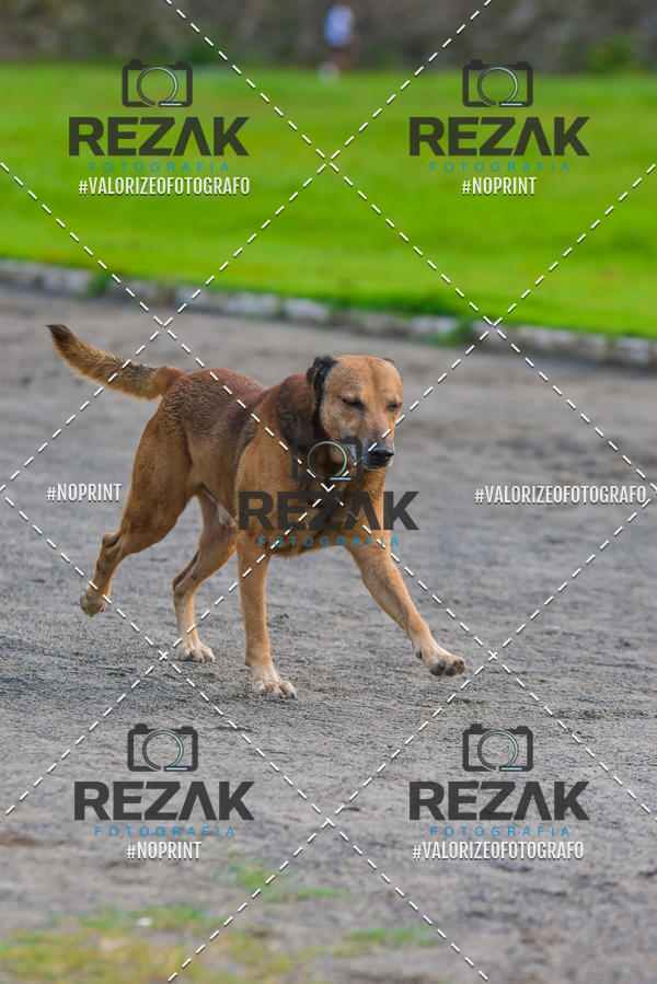 Buy your photos of the eventTreino na UFBA  (04/09/2019) on Fotop