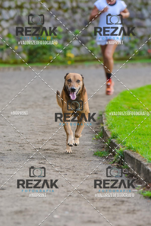 Buy your photos of the eventTreino na UFBA  (04/09/2019) on Fotop