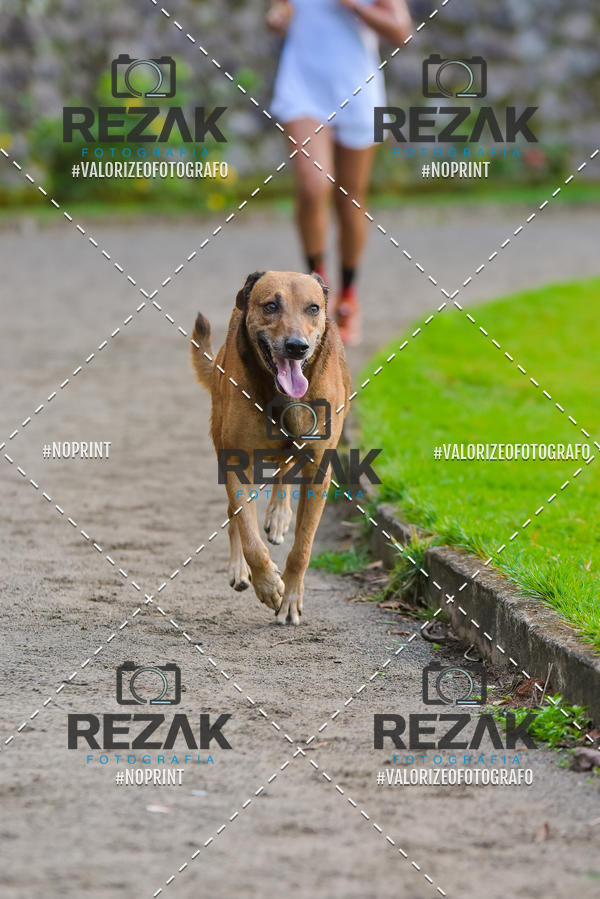 Buy your photos of the eventTreino na UFBA  (04/09/2019) on Fotop