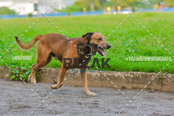 Buy your photos of the eventTreino na UFBA  (04/09/2019) on Fotop