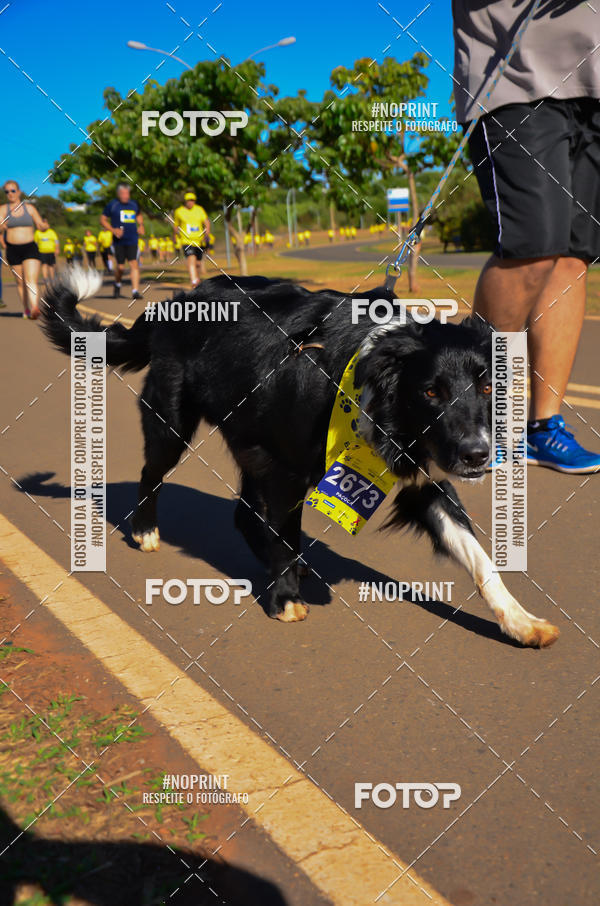 Buy your photos of the eventCIRCUITO BANCO DO BRASIL - ETAPA BRASLIA on Fotop