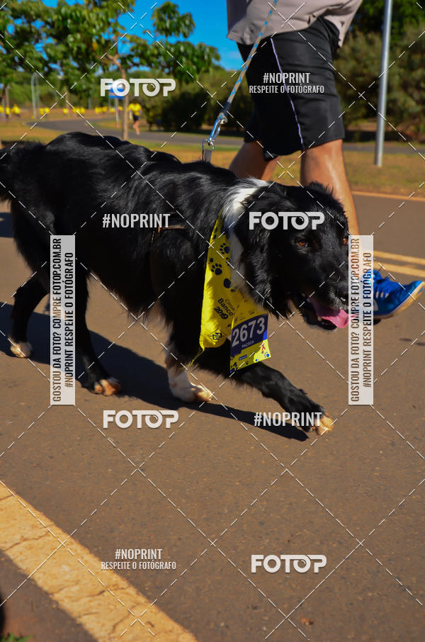 Buy your photos of the eventCIRCUITO BANCO DO BRASIL - ETAPA BRASLIA on Fotop