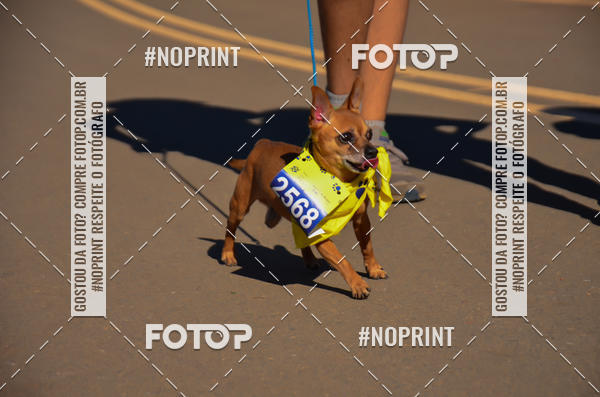 Buy your photos of the eventCIRCUITO BANCO DO BRASIL - ETAPA BRASLIA on Fotop