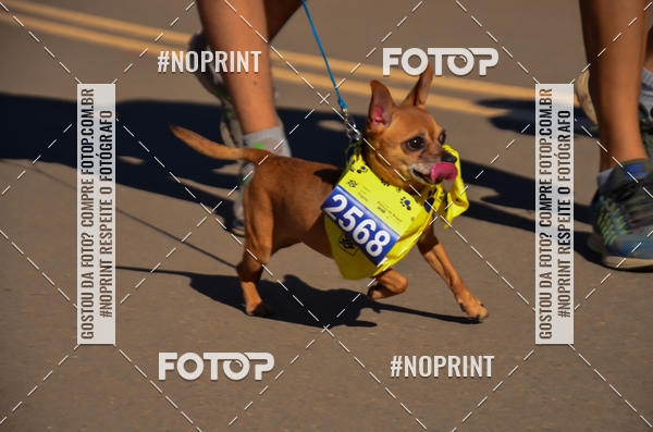 Buy your photos of the eventCIRCUITO BANCO DO BRASIL - ETAPA BRASLIA on Fotop