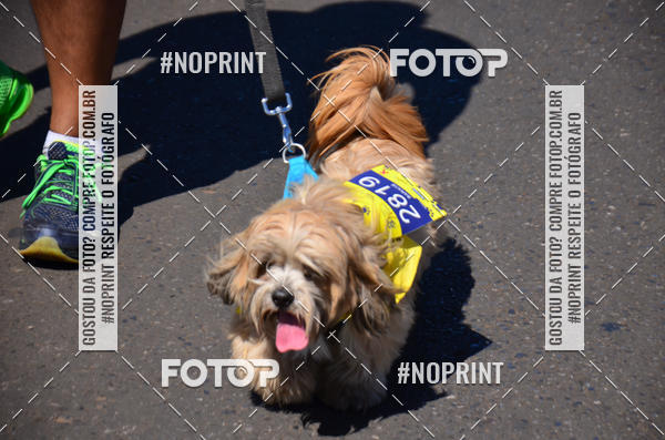 Buy your photos of the eventCIRCUITO BANCO DO BRASIL - ETAPA BRASLIA on Fotop