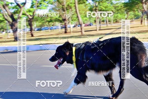 Acquista le foto dell'eventoCIRCUITO BANCO DO BRASIL - ETAPA BRAS�LIA in Fotop
