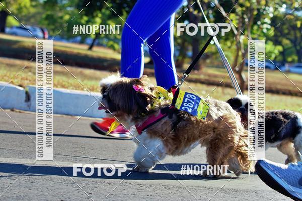 Acquista le foto dell'eventoCIRCUITO BANCO DO BRASIL - ETAPA BRAS�LIA in Fotop