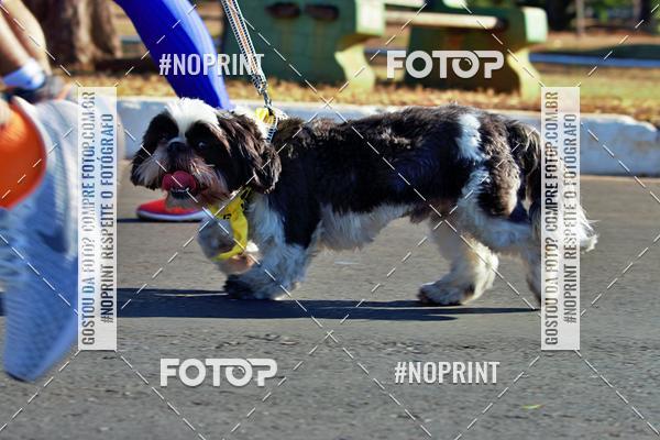 Acquista le foto dell'eventoCIRCUITO BANCO DO BRASIL - ETAPA BRAS�LIA in Fotop