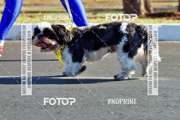 Acquista le foto dell'eventoCIRCUITO BANCO DO BRASIL - ETAPA BRAS�LIA in Fotop