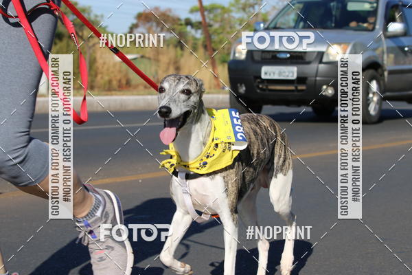 Buy your photos of the eventCIRCUITO BANCO DO BRASIL - ETAPA BRASLIA on Fotop