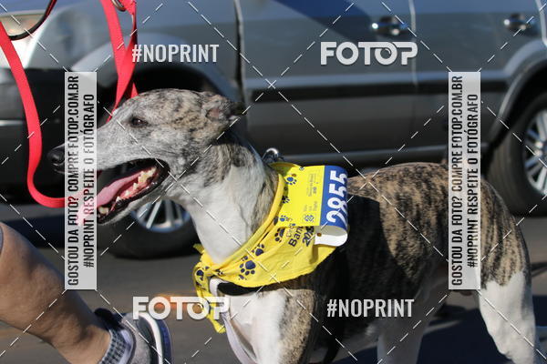 Buy your photos of the eventCIRCUITO BANCO DO BRASIL - ETAPA BRASLIA on Fotop