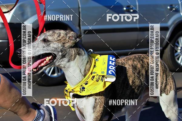 Acquista le foto dell'eventoCIRCUITO BANCO DO BRASIL - ETAPA BRAS�LIA in Fotop