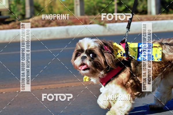 Acquista le foto dell'eventoCIRCUITO BANCO DO BRASIL - ETAPA BRAS�LIA in Fotop