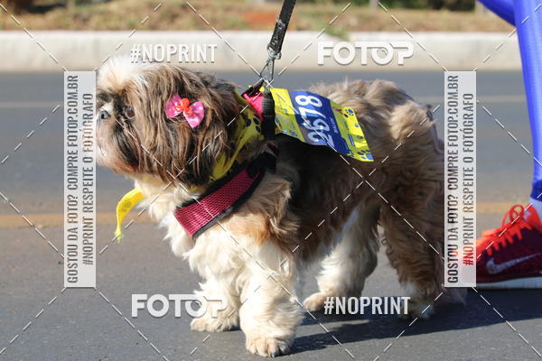 Buy your photos of the eventCIRCUITO BANCO DO BRASIL - ETAPA BRASLIA on Fotop