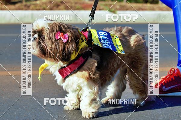 Acquista le foto dell'eventoCIRCUITO BANCO DO BRASIL - ETAPA BRAS�LIA in Fotop