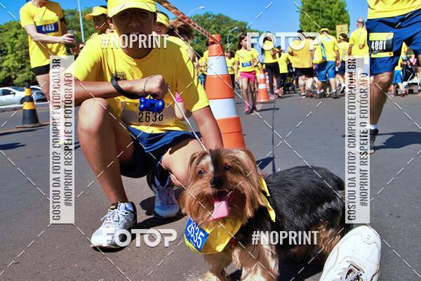 Acquista le foto dell'eventoCIRCUITO BANCO DO BRASIL - ETAPA BRAS�LIA in Fotop