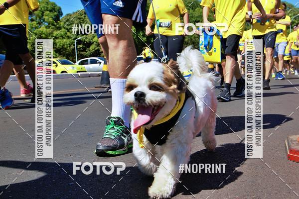 Acquista le foto dell'eventoCIRCUITO BANCO DO BRASIL - ETAPA BRAS�LIA in Fotop