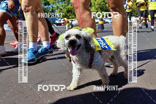 Acquista le foto dell'eventoCIRCUITO BANCO DO BRASIL - ETAPA BRAS�LIA in Fotop
