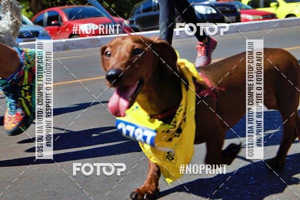 Acquista le foto dell'eventoCIRCUITO BANCO DO BRASIL - ETAPA BRAS�LIA in Fotop