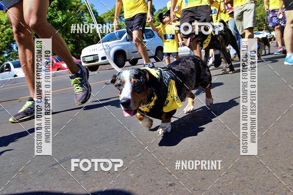 Acquista le foto dell'eventoCIRCUITO BANCO DO BRASIL - ETAPA BRAS�LIA in Fotop