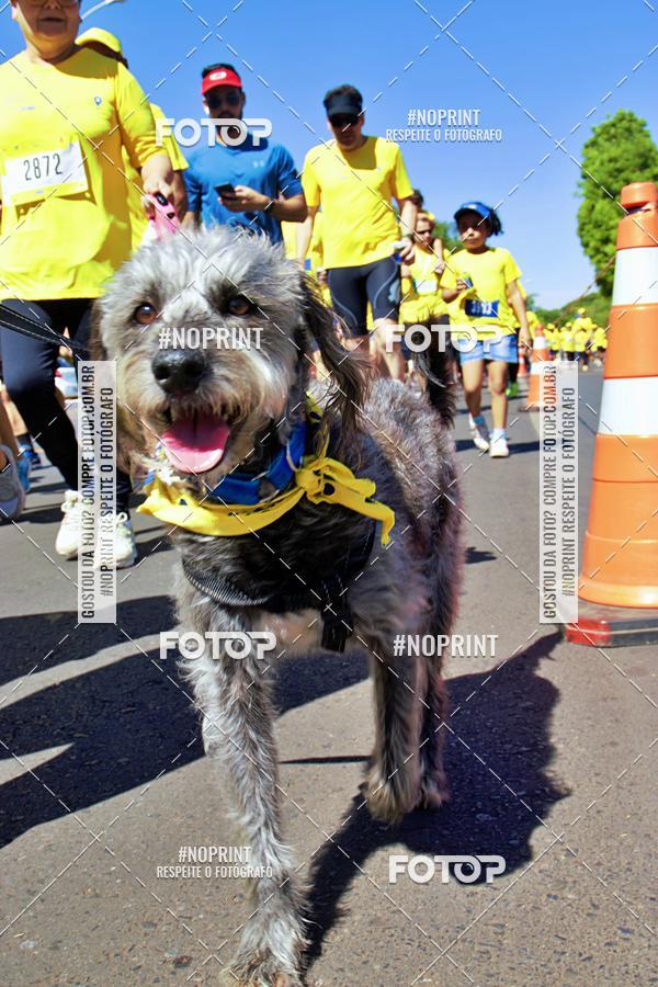 Acquista le foto dell'eventoCIRCUITO BANCO DO BRASIL - ETAPA BRAS�LIA in Fotop
