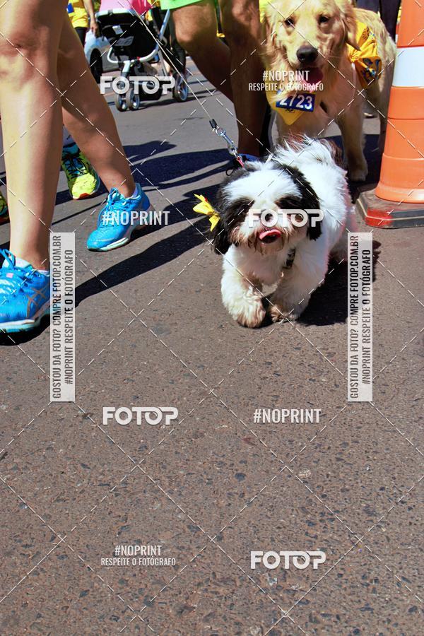 Acquista le foto dell'eventoCIRCUITO BANCO DO BRASIL - ETAPA BRAS�LIA in Fotop