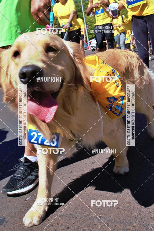 Acquista le foto dell'eventoCIRCUITO BANCO DO BRASIL - ETAPA BRAS�LIA in Fotop