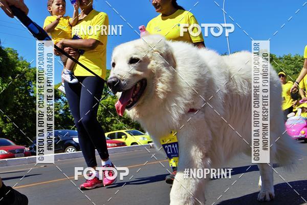 Acquista le foto dell'eventoCIRCUITO BANCO DO BRASIL - ETAPA BRAS�LIA in Fotop