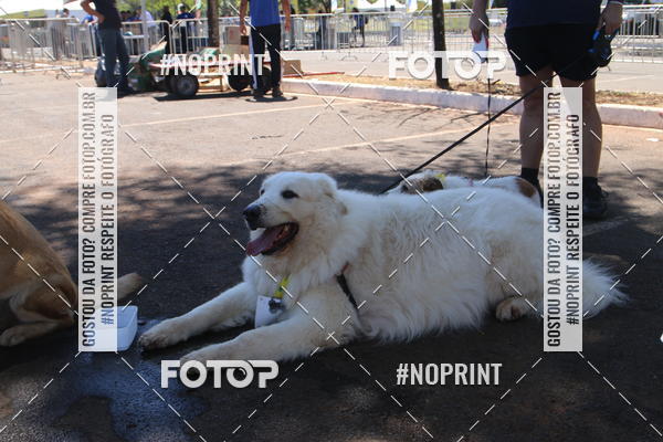 Buy your photos of the eventCIRCUITO BANCO DO BRASIL - ETAPA BRASLIA on Fotop