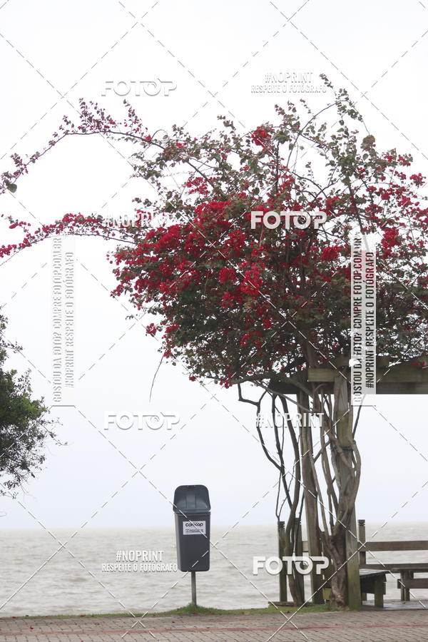 Buy your photos of the eventCIRCUITO BANCO DO BRASIL - ETAPA FLORIAN�POLIS on Fotop