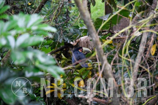 Buy your photos of the eventNR Fun - Resort Santo Antnio do Pinhal 04 a 08/09/19 on Fotop