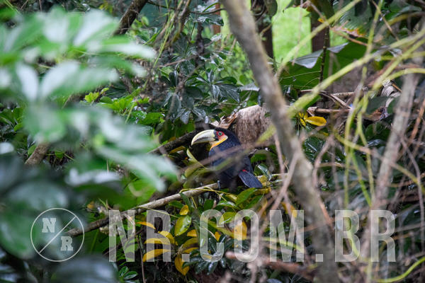 Buy your photos of the eventNR Fun - Resort Santo Antnio do Pinhal 04 a 08/09/19 on Fotop