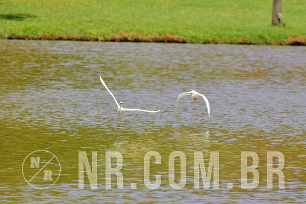 Buy your photos of the eventNR Fun - Resort Santo Antnio do Pinhal 04 a 08/09/19 on Fotop