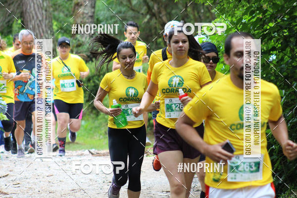 Acquista le foto dell'eventoCORRIDA PARQUE ESTADUAL CAMPOS DO JORDO in Fotop