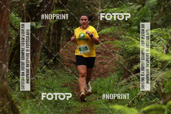 Buy your photos of the eventCORRIDA PARQUE ESTADUAL CAMPOS DO JORDO on Fotop